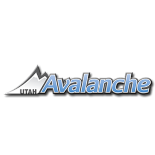 Contemplative Reptile